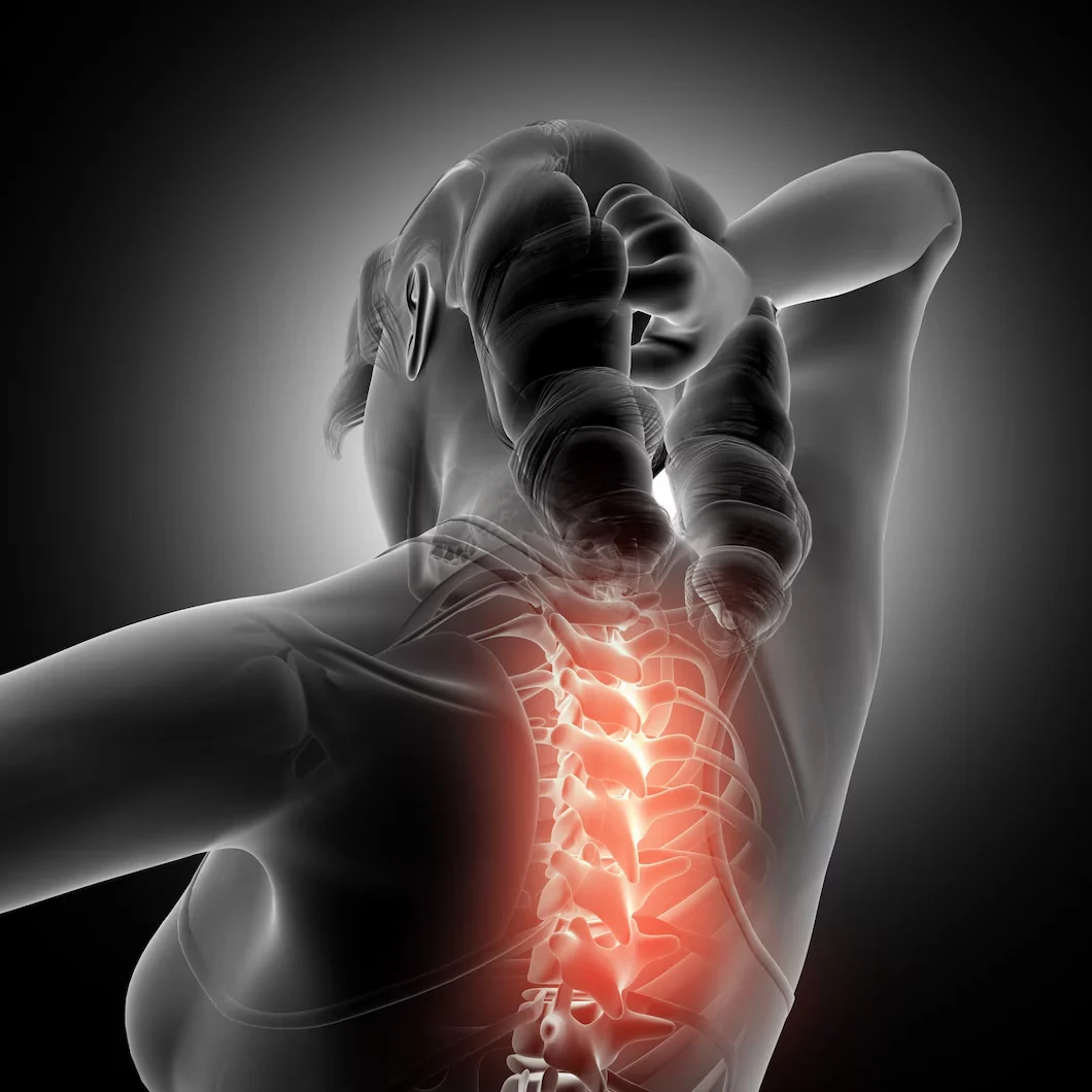 Illustration highlighting the upper spine